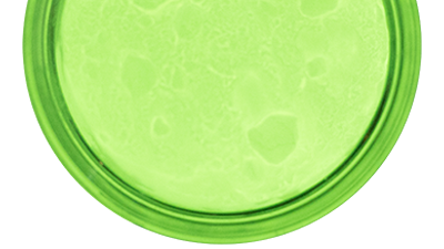 Luge vert lime fluorescent pour bébé Dayglow