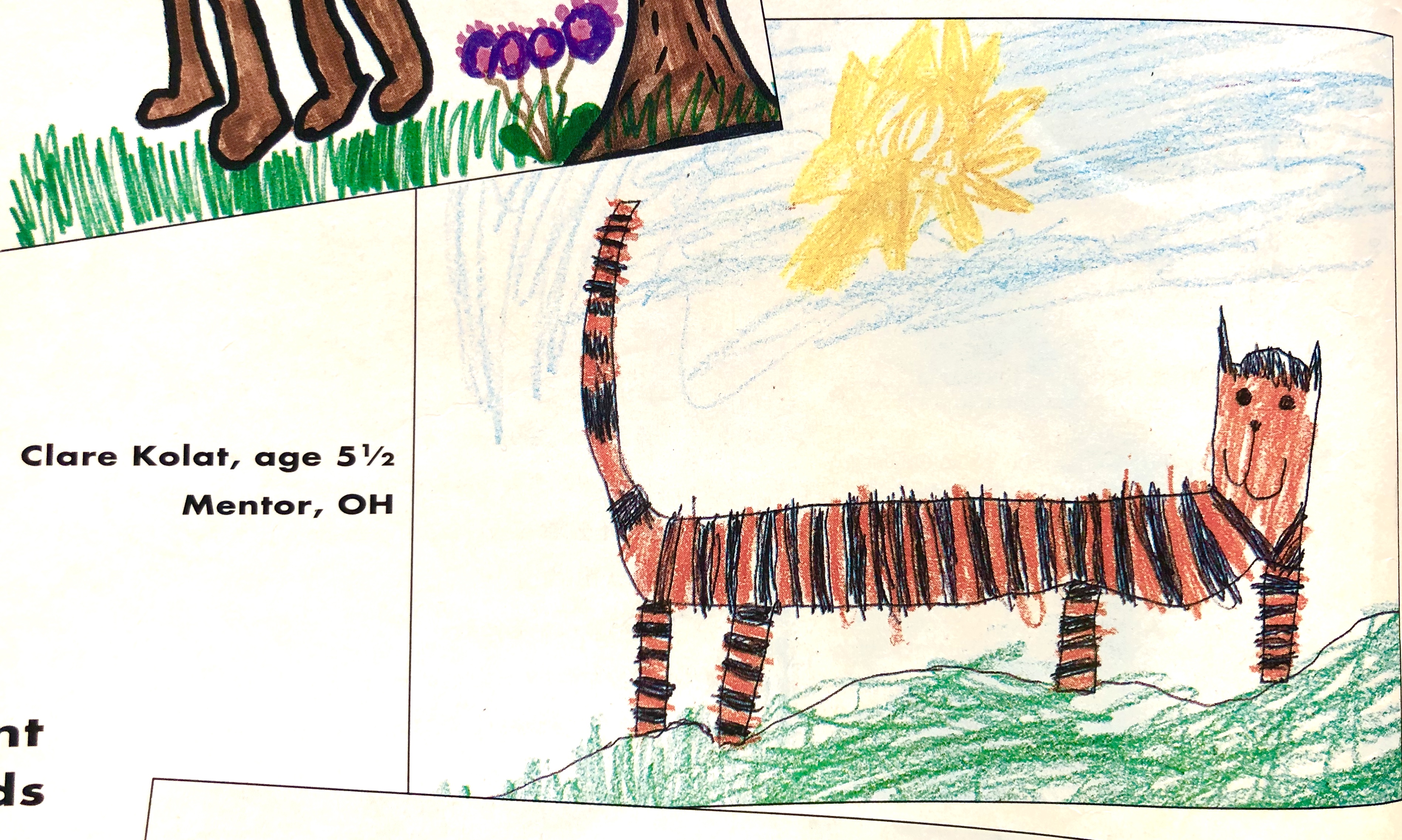 Crayola Tiger